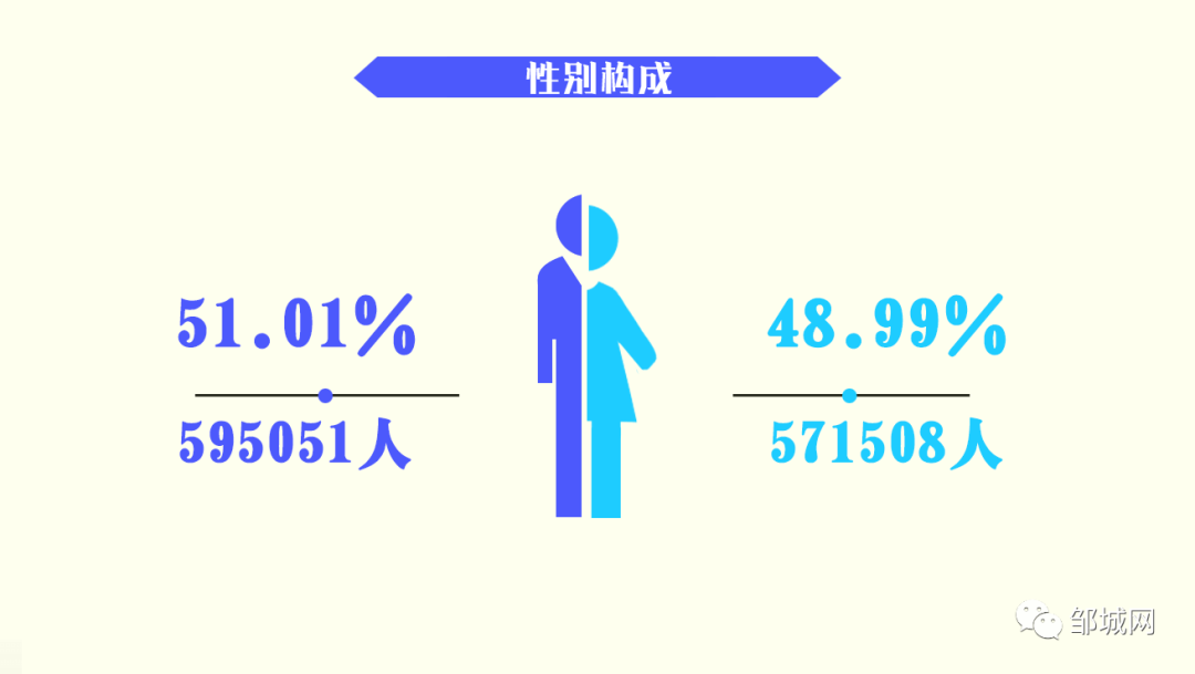 性别构成.png
