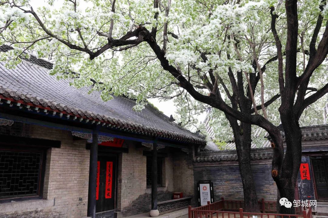 EL6A6449_副本.jpg